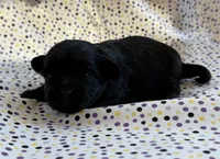 processed/f96747b5-3f17-4238-835e-7cedb4a76c24/listing/f6b9368f-8d54-44f1-b784-03ca9849fff3/f42d9fa4-c02a-41e6-8dd5-9156082c4dbd