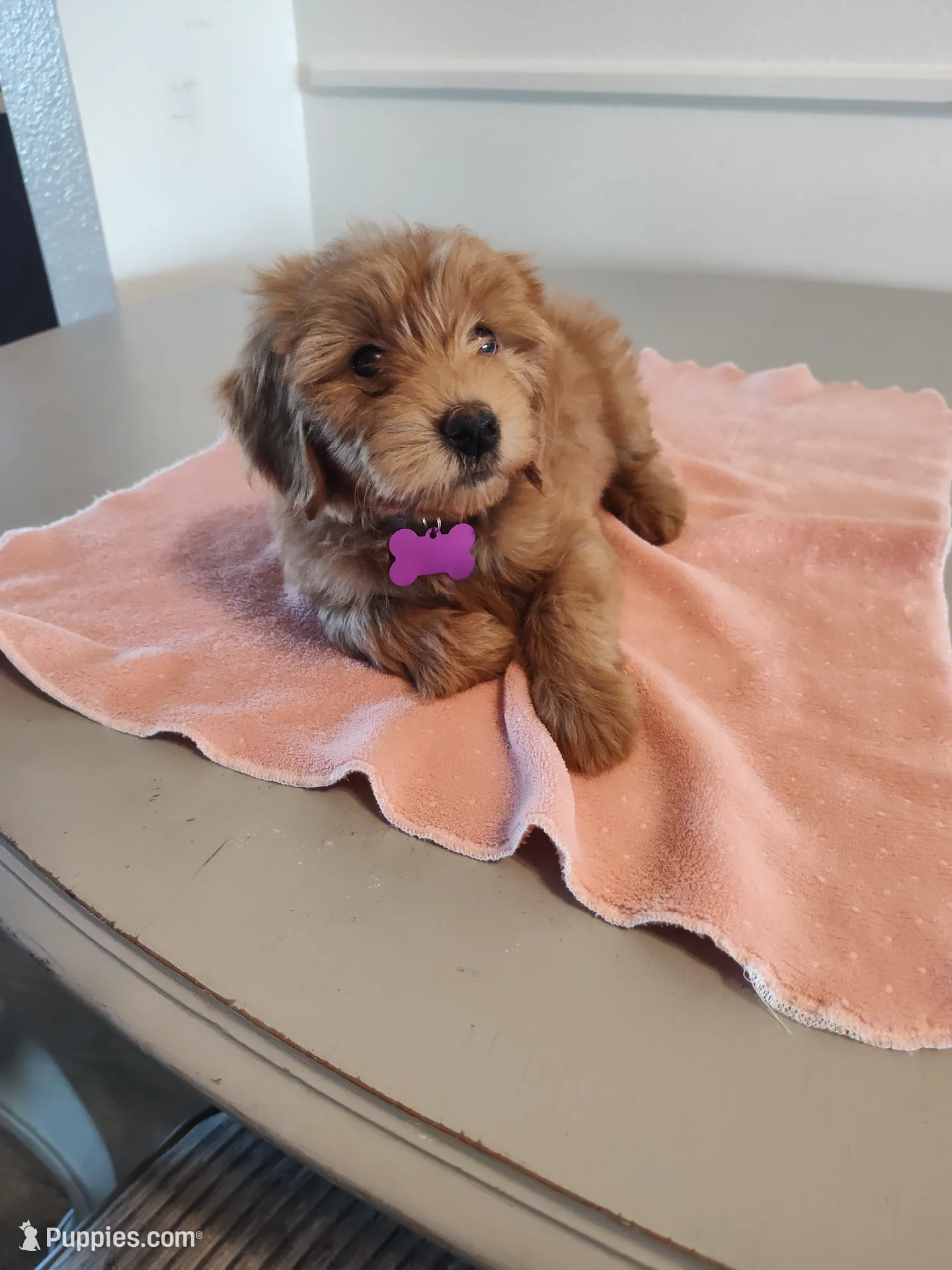 processed/f982de8f-380a-47e4-922f-2b62faae558a/listing/5e855317-98fd-42ba-af7b-838c9979ec4a/0a0e4c40-8998-452c-9fdf-67c92ec81816