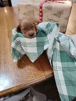 processed/f982de8f-380a-47e4-922f-2b62faae558a/listing/5e855317-98fd-42ba-af7b-838c9979ec4a/3fd47459-d4d3-43d4-a566-afa7a711fad2