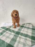 processed/f982de8f-380a-47e4-922f-2b62faae558a/listing/5e855317-98fd-42ba-af7b-838c9979ec4a/7f905b63-38d3-4990-b9f5-e57ab6d26b2f