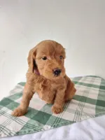 processed/f982de8f-380a-47e4-922f-2b62faae558a/listing/5e855317-98fd-42ba-af7b-838c9979ec4a/edca79ab-b325-47ed-8053-5ae4e41b4a96