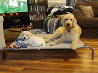 processed/f986658e-8407-4aa4-ae5d-d5718eece1a4/facility/1bac1ee7-5723-4ab2-97ad-a1490cd05ea3