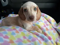 processed/f986658e-8407-4aa4-ae5d-d5718eece1a4/facility/2d7cd3ac-14c2-403b-9288-5d09c8a86af0