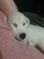 processed/f986658e-8407-4aa4-ae5d-d5718eece1a4/facility/71fc9c0f-e576-40a0-8fb1-7ca688b16fc0