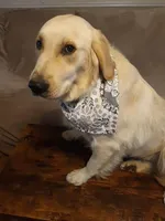 processed/f986658e-8407-4aa4-ae5d-d5718eece1a4/facility/7a8596a3-a5c0-469c-9afb-a3fe2f0c1652