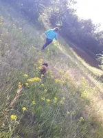 processed/f986658e-8407-4aa4-ae5d-d5718eece1a4/facility/80f36643-1f78-4879-b73e-32a81bce75fa