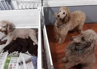 processed/f986658e-8407-4aa4-ae5d-d5718eece1a4/facility/b56eeb27-772e-4858-8d0e-09482ab8bf71