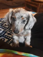 processed/f986658e-8407-4aa4-ae5d-d5718eece1a4/facility/ca1f9c8d-f84f-4823-bf7e-115f25e52493