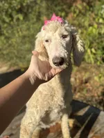 processed/f989b9f3-1e70-4dca-8a47-95a08c09fed4/listing/17181b02-3385-4942-88ce-452c6e06791e/eee9cffd-8f53-4776-9ca2-5c899207a541