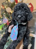 processed/f989b9f3-1e70-4dca-8a47-95a08c09fed4/listing/5379601f-256b-4bf4-a66d-aa412ec41b0a/130b65da-1589-404d-ac56-47538f521be3