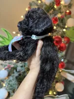 processed/f989b9f3-1e70-4dca-8a47-95a08c09fed4/listing/5379601f-256b-4bf4-a66d-aa412ec41b0a/3f783b9e-9ad2-4a29-a9ec-b5668dc88fcc