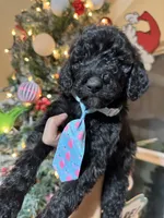 processed/f989b9f3-1e70-4dca-8a47-95a08c09fed4/listing/5379601f-256b-4bf4-a66d-aa412ec41b0a/4972ad6b-34d4-42dd-b2c1-6e852ef2ade8