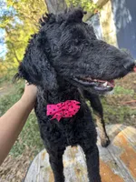 processed/f989b9f3-1e70-4dca-8a47-95a08c09fed4/listing/5379601f-256b-4bf4-a66d-aa412ec41b0a/a8180465-b066-489a-82b6-f96c3583c535