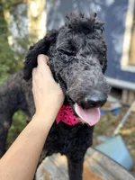 processed/f989b9f3-1e70-4dca-8a47-95a08c09fed4/listing/5379601f-256b-4bf4-a66d-aa412ec41b0a/cda6f5f9-5ff2-474e-85e2-05898b8aef3a