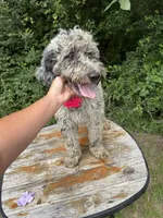 processed/f989b9f3-1e70-4dca-8a47-95a08c09fed4/listing/73855d24-ed01-4ec2-b212-3671abbdfa70/d2a0244e-5aa6-4d41-810a-9241eaadbbcf