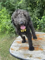 processed/f989b9f3-1e70-4dca-8a47-95a08c09fed4/listing/73c27ae3-e417-4cc7-8210-82a577a7b509/bf79fab2-5211-44ef-b345-e1dfa787001a