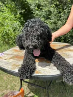 processed/f989b9f3-1e70-4dca-8a47-95a08c09fed4/listing/73c27ae3-e417-4cc7-8210-82a577a7b509/c50f9ccc-9d55-4c7f-b73d-43f9d9df2644