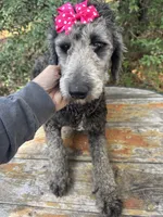 processed/f989b9f3-1e70-4dca-8a47-95a08c09fed4/listing/b59342c3-290d-42c3-ad1e-38337508ad42/57a4c7a0-3063-4031-a984-857a748bd0a6