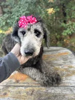 processed/f989b9f3-1e70-4dca-8a47-95a08c09fed4/listing/b59342c3-290d-42c3-ad1e-38337508ad42/98f82df6-350b-48e5-bc35-cb3c01468aa1