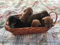 processed/f98c67a6-95df-4fd1-8f80-4abdec10d3b5/facility/304cc9eb-c322-4099-957f-6d613c39dbfe