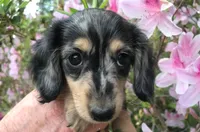 processed/f98c67a6-95df-4fd1-8f80-4abdec10d3b5/facility/3f7d8955-2c31-4dda-89e0-1882ef09d884