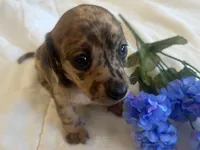 processed/f98c67a6-95df-4fd1-8f80-4abdec10d3b5/facility/50aa487b-d483-4a4b-b119-109fae5629d3