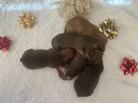 processed/f98c67a6-95df-4fd1-8f80-4abdec10d3b5/facility/9b5790dd-0d9a-456e-8982-e554de1b940e