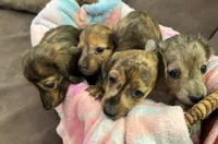 processed/f98c67a6-95df-4fd1-8f80-4abdec10d3b5/facility/b3539f75-d39b-4c0e-8ed0-3d12f9888d6b