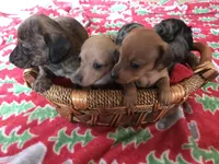 processed/f98c67a6-95df-4fd1-8f80-4abdec10d3b5/facility/e79c7070-9c1c-48e6-9853-9947a8511ebc