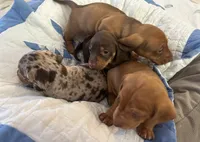 processed/f98c67a6-95df-4fd1-8f80-4abdec10d3b5/facility/f9e4ba83-c838-4efa-be0f-42433985324e