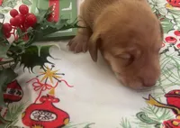 processed/f98c67a6-95df-4fd1-8f80-4abdec10d3b5/listing/245f8bba-1627-41fe-8ab2-d888093aa703/01c22a24-b589-452f-b613-5348d3be1429