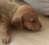 processed/f98c67a6-95df-4fd1-8f80-4abdec10d3b5/listing/245f8bba-1627-41fe-8ab2-d888093aa703/a269b3dc-de23-4ad9-8f14-0e077cb8e643