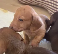 processed/f98c67a6-95df-4fd1-8f80-4abdec10d3b5/listing/245f8bba-1627-41fe-8ab2-d888093aa703/c17d70ac-789a-403a-8506-a3623efd1223