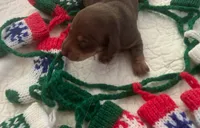 processed/f98c67a6-95df-4fd1-8f80-4abdec10d3b5/listing/5220677f-738a-4dcb-98cc-1fa6b6e1709c/85f4d2e6-62aa-4ad1-878c-a8c9933b5d87