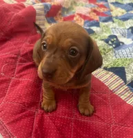 processed/f98c67a6-95df-4fd1-8f80-4abdec10d3b5/listing/523c1050-55d5-4498-a100-91b5557251e6/ea608be8-6d4c-4190-9077-44c0f4489168