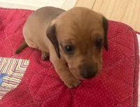 processed/f98c67a6-95df-4fd1-8f80-4abdec10d3b5/listing/581da458-9761-4c1f-9c92-8031582272c6/0de3286a-0e8d-45d7-943b-8d0a96a24b69