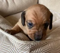 processed/f98c67a6-95df-4fd1-8f80-4abdec10d3b5/listing/581da458-9761-4c1f-9c92-8031582272c6/3dbc54ad-de76-401a-b24f-bffbd9b72da4