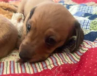 processed/f98c67a6-95df-4fd1-8f80-4abdec10d3b5/listing/581da458-9761-4c1f-9c92-8031582272c6/5c41a1ae-514f-49d8-8907-6f131b05bba4