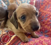 processed/f98c67a6-95df-4fd1-8f80-4abdec10d3b5/listing/581da458-9761-4c1f-9c92-8031582272c6/9e142bbd-7668-464c-b5d9-99fdb2a40934