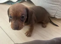 processed/f98c67a6-95df-4fd1-8f80-4abdec10d3b5/listing/a2c1e50d-355d-4d74-aa9c-bd01639b8e80/0ab751fc-6b13-460f-b8a1-e5faa2bcf8f8