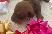 processed/f98c67a6-95df-4fd1-8f80-4abdec10d3b5/listing/a2c1e50d-355d-4d74-aa9c-bd01639b8e80/0ef06f5b-58df-4b68-af22-e90cb6023bba