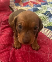 processed/f98c67a6-95df-4fd1-8f80-4abdec10d3b5/listing/a2c1e50d-355d-4d74-aa9c-bd01639b8e80/6503ae9c-929a-4459-90de-f9da4037f8fc