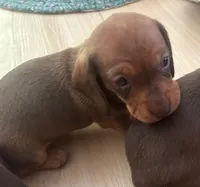 processed/f98c67a6-95df-4fd1-8f80-4abdec10d3b5/listing/a2c1e50d-355d-4d74-aa9c-bd01639b8e80/c92bf65f-2696-4570-aba8-c90975c7026f