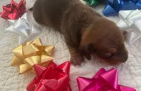 processed/f98c67a6-95df-4fd1-8f80-4abdec10d3b5/listing/a2c1e50d-355d-4d74-aa9c-bd01639b8e80/fbe2f85e-dad6-48f7-9574-cb3468f52075