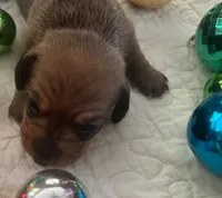 processed/f98c67a6-95df-4fd1-8f80-4abdec10d3b5/listing/f611d9f1-f2b3-4908-87c6-4fc720102b79/196550cb-6840-4932-875e-d98cd8f5381f