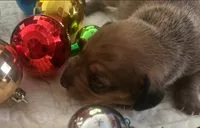 processed/f98c67a6-95df-4fd1-8f80-4abdec10d3b5/listing/f611d9f1-f2b3-4908-87c6-4fc720102b79/48532d08-e393-44f4-a3b7-27fb2122121b