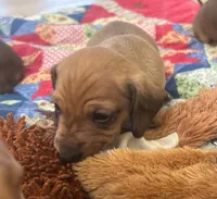 processed/f98c67a6-95df-4fd1-8f80-4abdec10d3b5/listing/f611d9f1-f2b3-4908-87c6-4fc720102b79/b34cc83a-de53-4440-adb8-a1a86810f394