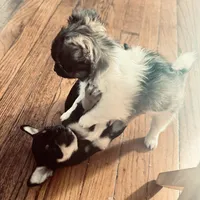 processed/f98d9eb6-511d-42d0-9442-64d46109feae/listing/dafa5c13-8777-4e5b-8381-7ddf8e7a8c8a/0834c62f-7fb5-4434-80ee-8fae71d9d67b