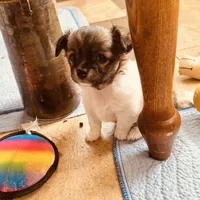 processed/f98d9eb6-511d-42d0-9442-64d46109feae/listing/dafa5c13-8777-4e5b-8381-7ddf8e7a8c8a/404f5ce0-6027-4d7d-85c9-f33a664ea708