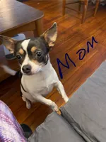 processed/f98d9eb6-511d-42d0-9442-64d46109feae/listing/dafa5c13-8777-4e5b-8381-7ddf8e7a8c8a/8553f4b0-25d5-4655-a957-4004d83a3617